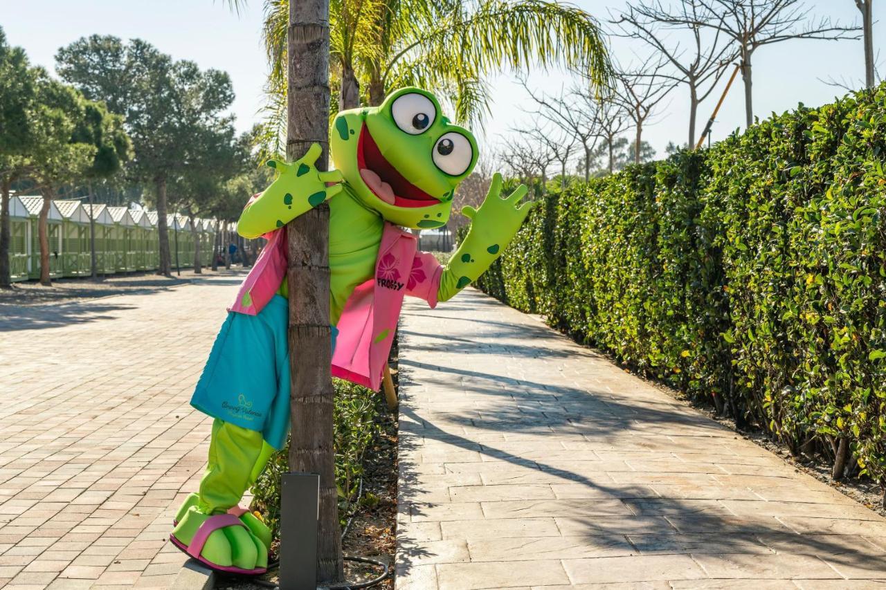 Camping Valencia - Bungalows Puzol Bagian luar foto